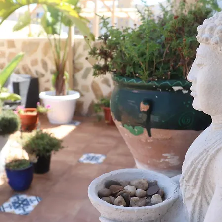 酒店 Hotel Calpe 2*