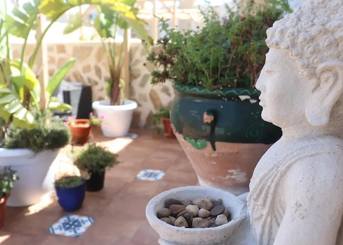 Hotel Hotel Calpe 2*